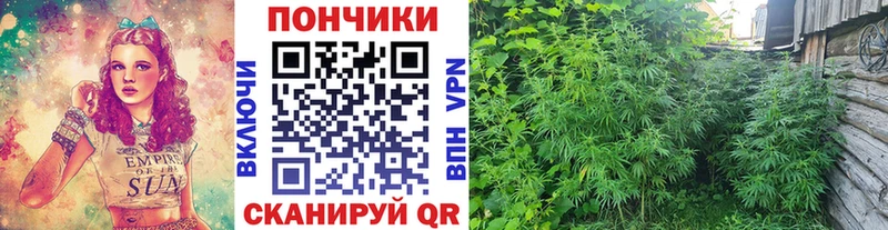 Где найти наркотики Заволжье APVP  Мефедрон  АМФЕТАМИН  COCAIN  omg ТОР  Марихуана 