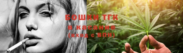 первитин Новодвинск