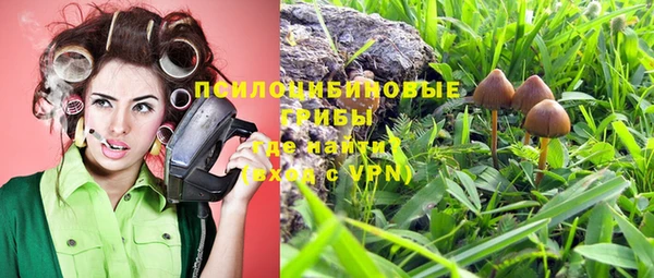 первитин Новодвинск