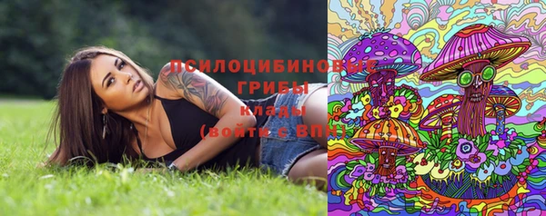 мдма Няндома