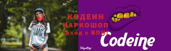 первитин Новодвинск