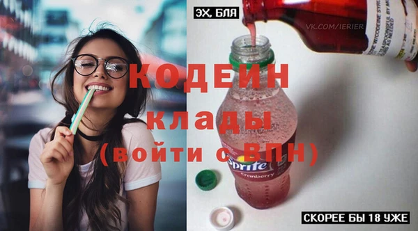 первитин Новодвинск