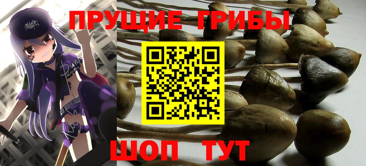 Псилоцибиновые грибы GOLDEN TEACHER  Вход с VPN  Галлюциногенные грибы ЛСД  Заволжье 